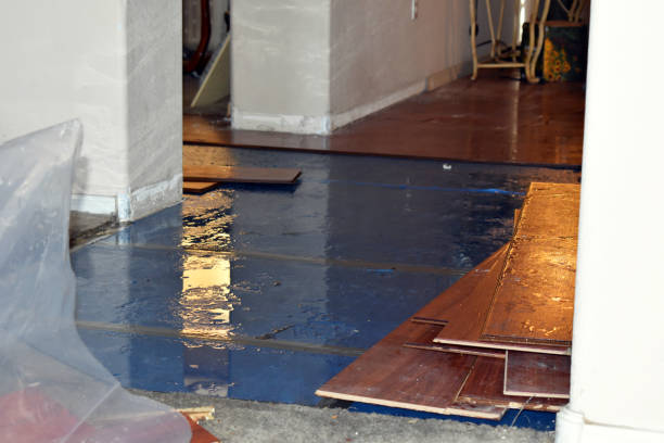 Professional Flood Cleanup technician working in Economy, IN